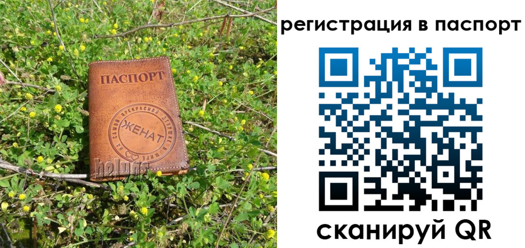 прописка законно в Долинске